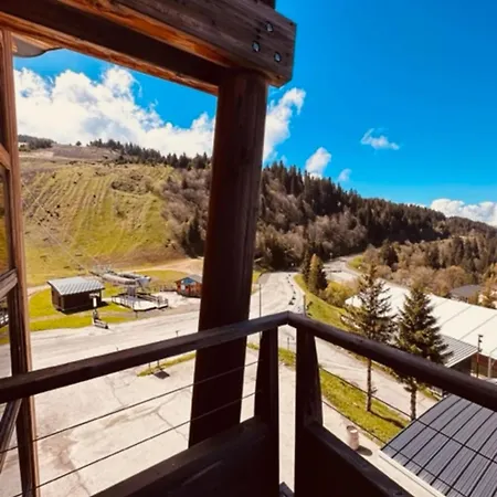 Apartamento Le Bouquetin 304 *